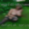 Defuniak Springs swingers